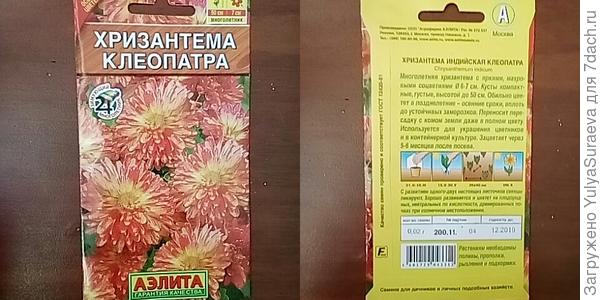 Осенняя красавица