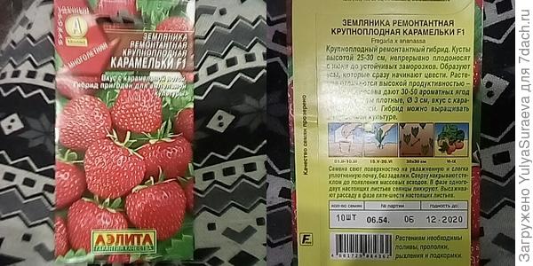 Земляничка