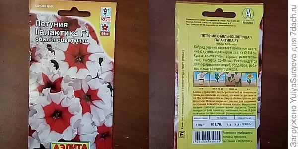Петуния