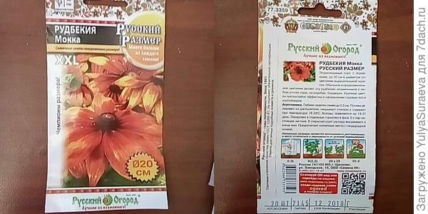Рудбекия