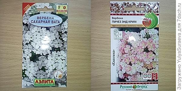 Те,что еще спят