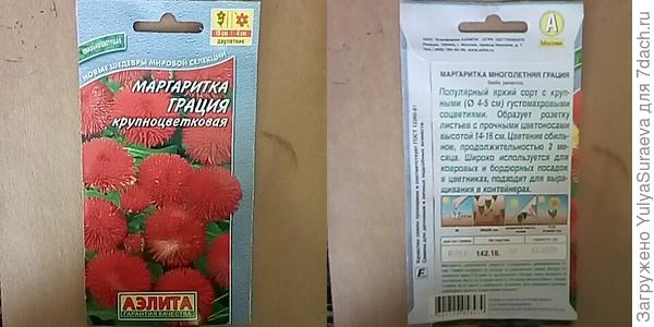 Алые маргаритки