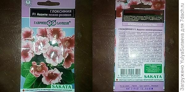 Для домашнего озеленения модные цветы