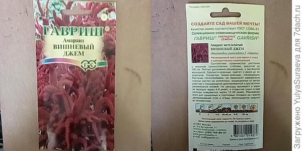 Великолепный амарант добавит винного цвета
