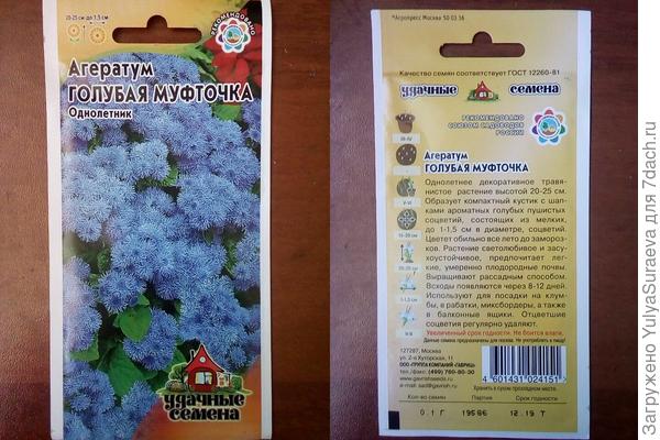 Голубенький Агератум