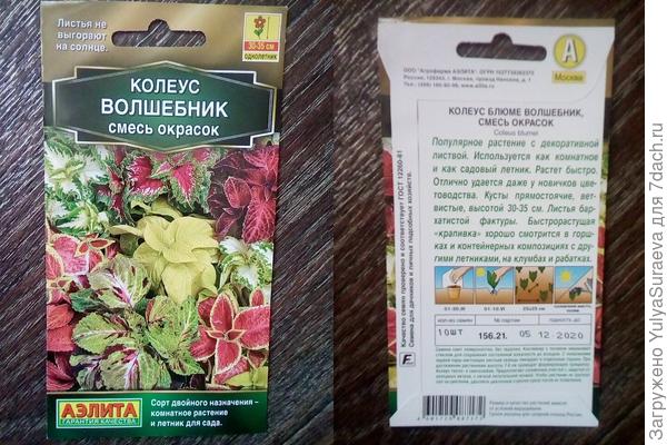Такая красивая горшечно-культурная травка