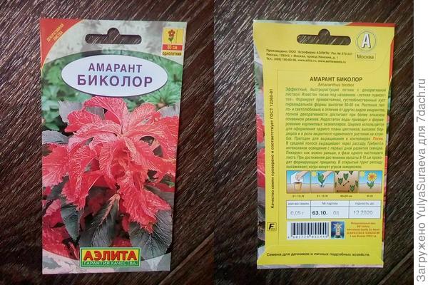 Амарант-очень жду его качественного роста