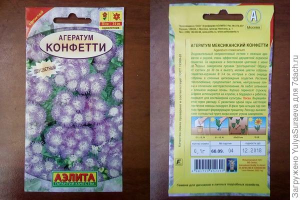 Сиреневый с белой серединкой Агератум