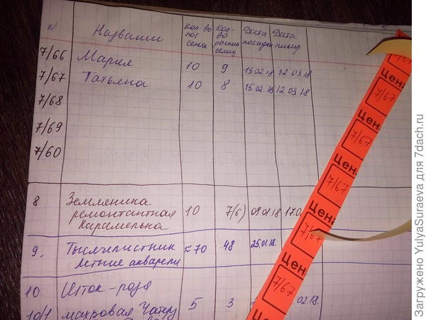 Фиксирую результат в тетрадке. Клею на стаканчики наклейки.