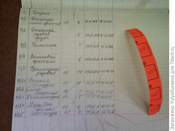 Фиксирую результат