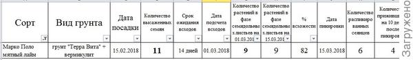 Итоговые наблюдения