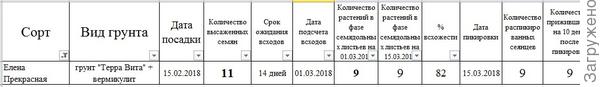 Итоговые наблюдения