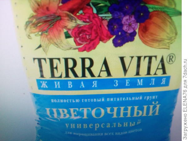 грунт
