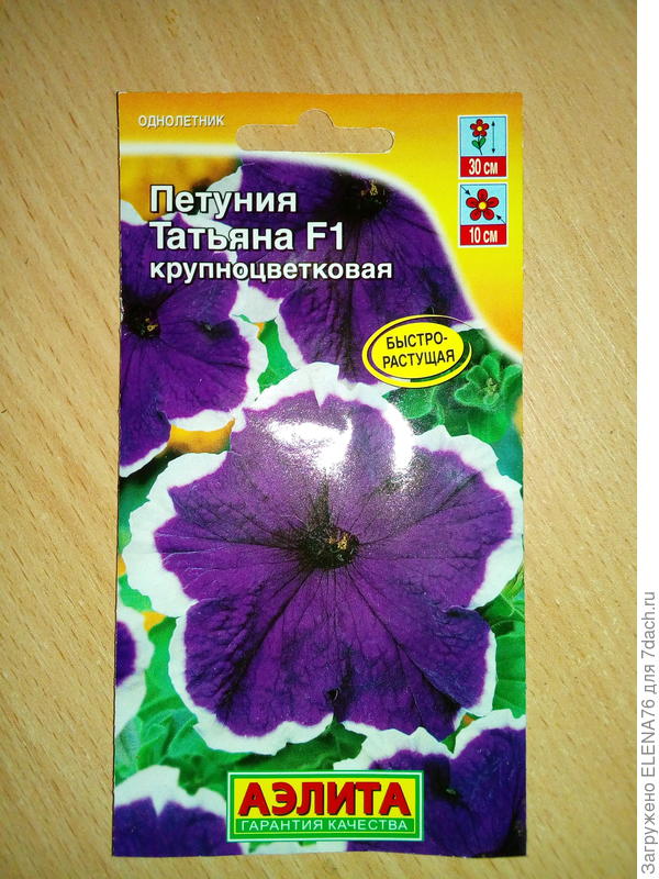 Петуния ТАТЬЯНА F1