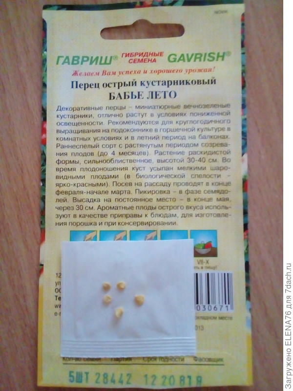 Перец Бабье лето