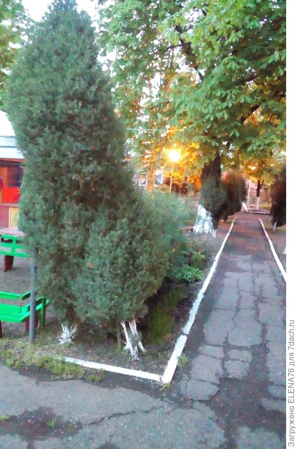 тоже наклонилась