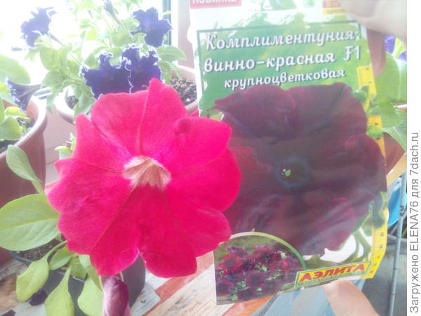 Соотношение цвета