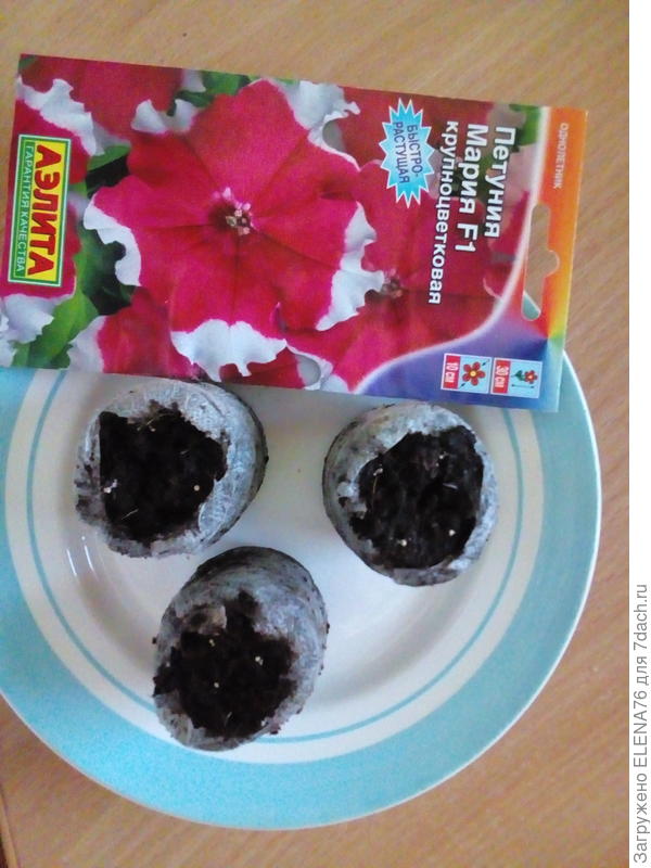 посев семян