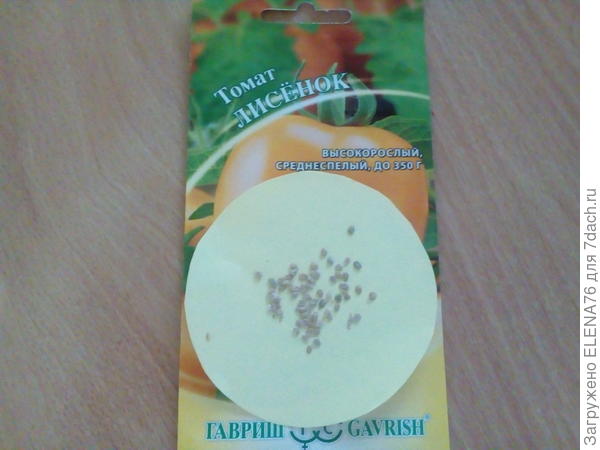 Томат Лисенок