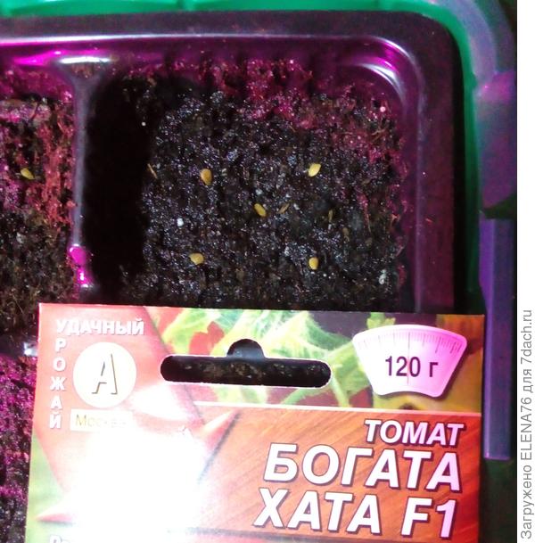 Посев семян томата Богата хата F1
