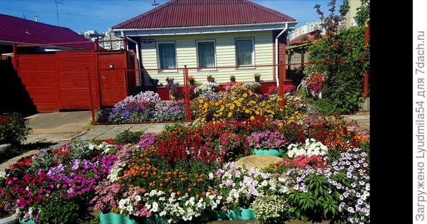 Нам повезло больше, расстояние от тратуара и проезжей дороги отделяет канава для сточных вод.