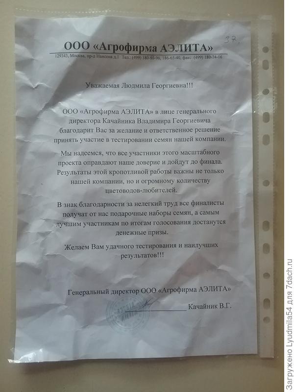 Письмо с пожеланиями