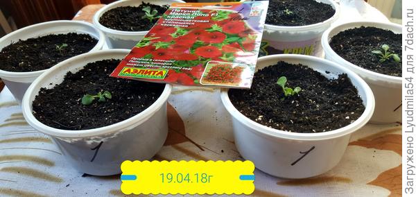 19.04.18г