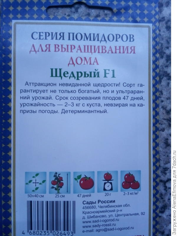 Выбранный томат сажу впервые
