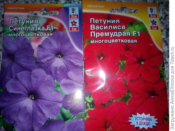 Петуния многоцветковая