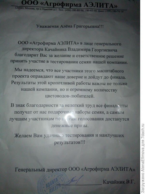 Письмо от генерального директора