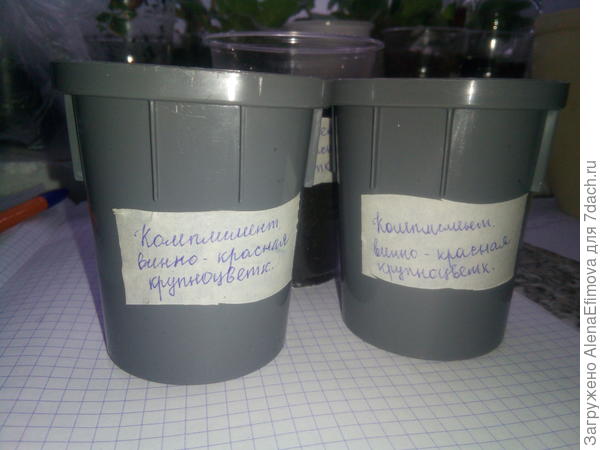 Маркировка стаканчика