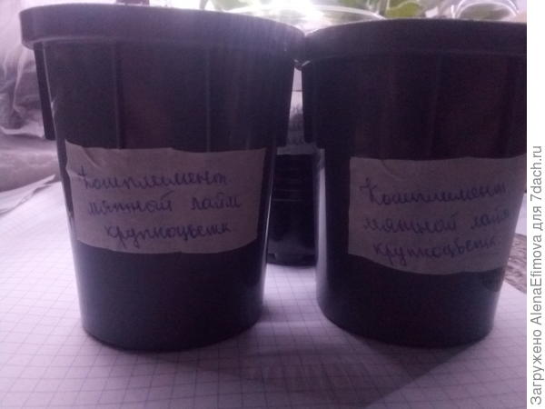 Маркировка стаканчиков