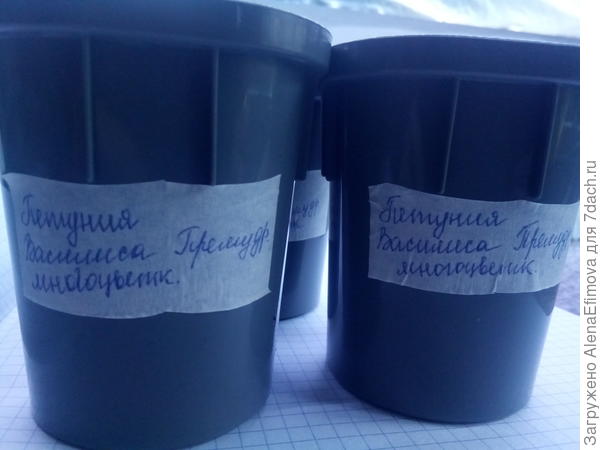 Маркировка стаканчиков