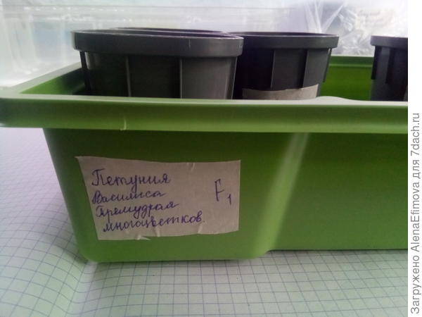 Маркировка контейнера.