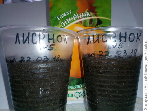 Подписанные стаканчики
