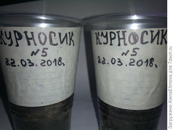 Подпись стаканчиков