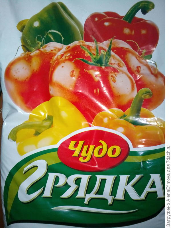 Грунт
