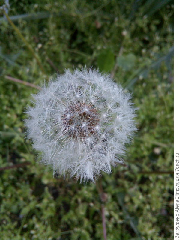 Так и хочется потрогать