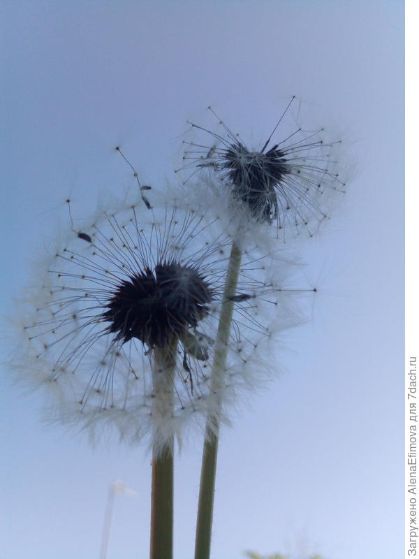 Начинает разлетаться