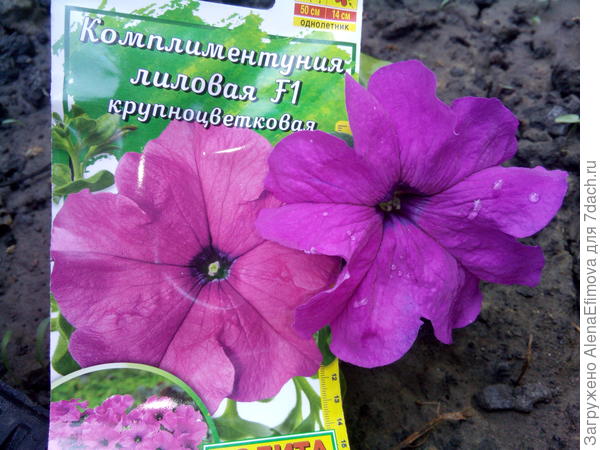Соответствие