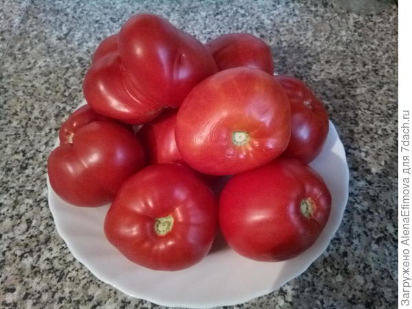 Сбор урожая