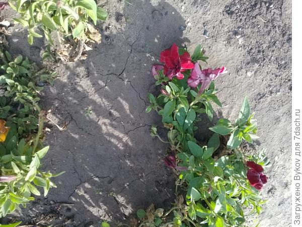 10.10.2018 г.