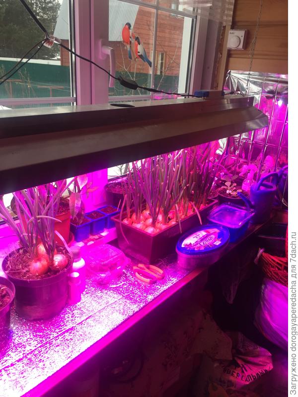 Подготовка к новому дачному сезону