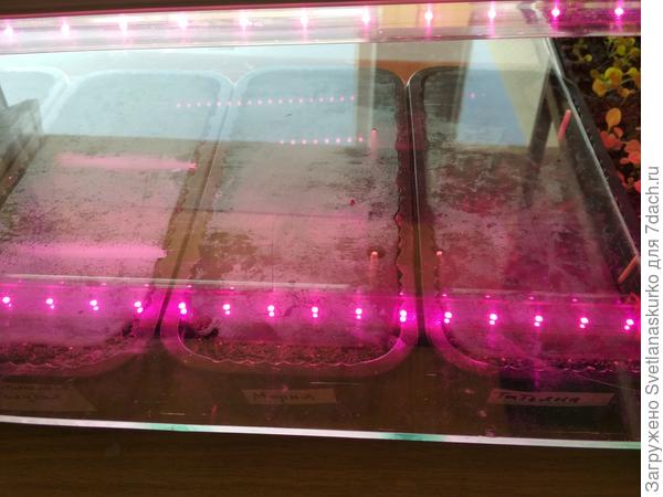 Стелаж с подсветкой.