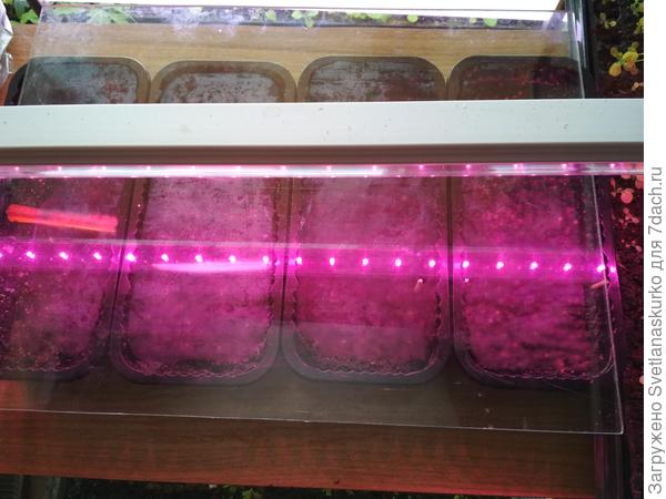 стелаж с подсветкой.