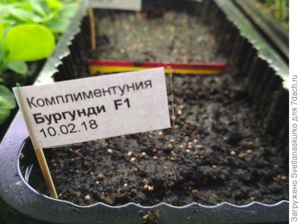 Контейнер с тестируемыми семенами