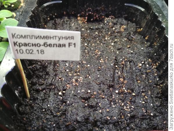 Контейнер с тестируемыми семенами