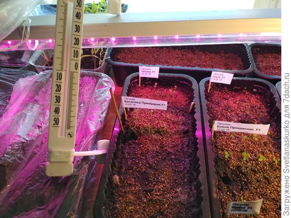 стелаж с подсветкой