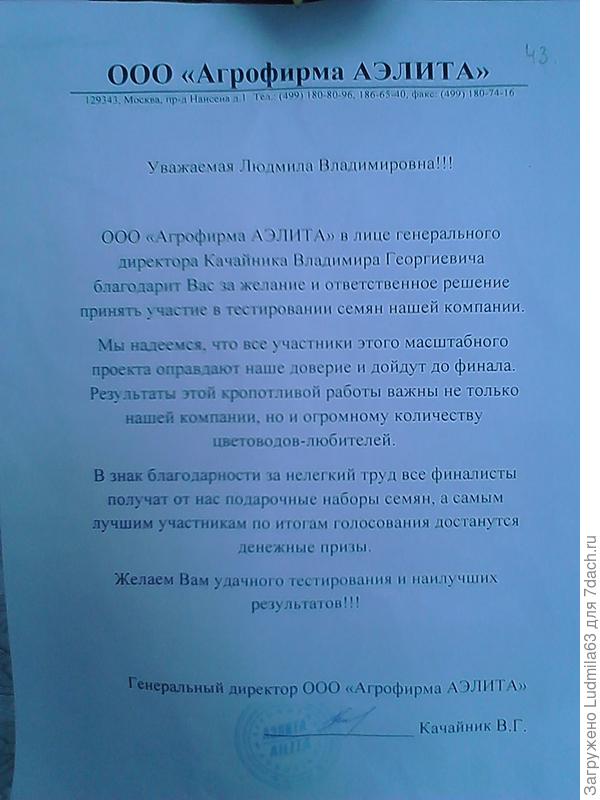 письмо