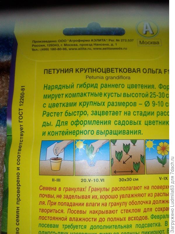 Семена от Аэлиты